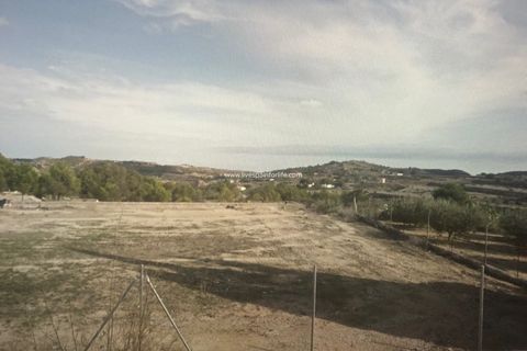 Helårsgrund i Aspe, Alicante, Aspe - € 100.000 | Ref: ASPE JOSE - foto 12