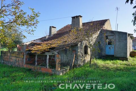 Landejendom i Tomar, Santarem, Tomar - € 60.000 | Ref: 801/26 - foto 3