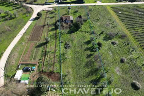 Landejendom i Tomar, Santarem, Tomar - € 60.000 | Ref: 801/26 - foto 4