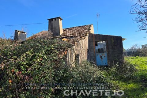 Landejendom i Tomar, Santarem, Tomar - € 60.000 | Ref: 801/26 - foto 6