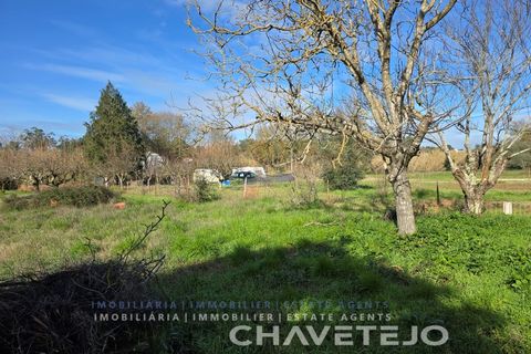 Landejendom i Tomar, Santarem, Tomar - € 60.000 | Ref: 801/26 - foto 7