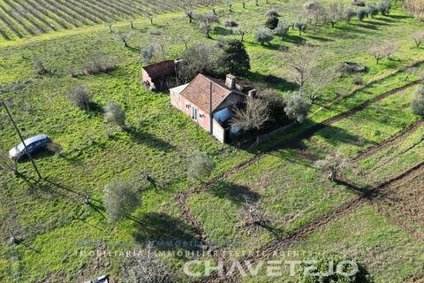 Landejendom i Tomar, Santarem, Tomar - € 60.000 | Ref: 801/26 - foto 22