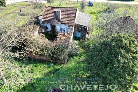 Landejendom i Tomar, Santarem, Tomar - € 60.000 | Ref: 801/26 - foto 24