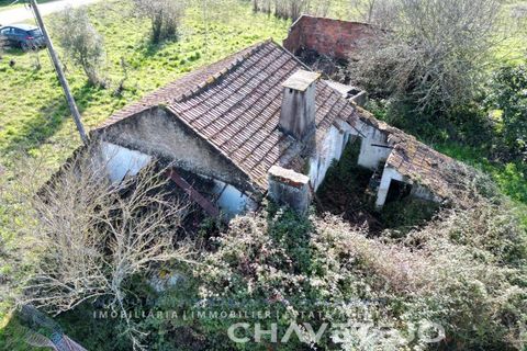 Landejendom i Tomar, Santarem, Tomar - € 60.000 | Ref: 801/26 - foto 25