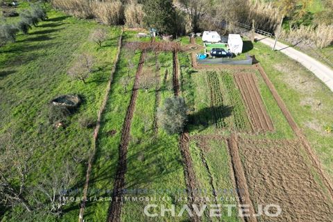 Landejendom i Tomar, Santarem, Tomar - € 60.000 | Ref: 801/26 - foto 27