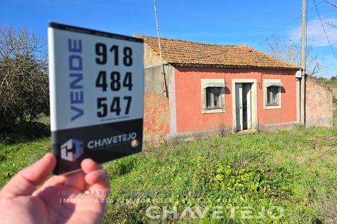Landejendom i Tomar, Santarem, Tomar - € 60.000 | Ref: 801/26 - foto 30
