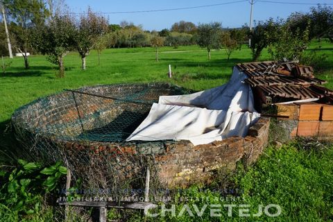 Landejendom i Tomar, Santarem, Tomar - € 60.000 | Ref: 801/26 - foto 32