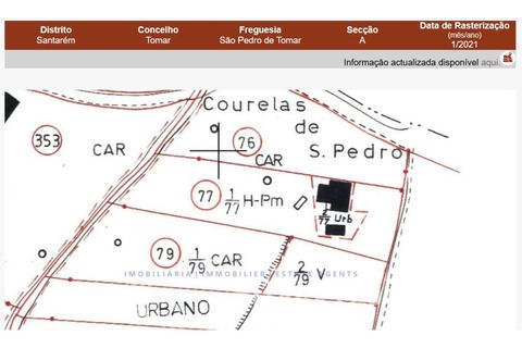 Landejendom i Tomar, Santarem, Tomar - € 60.000 | Ref: 801/26 - foto 33
