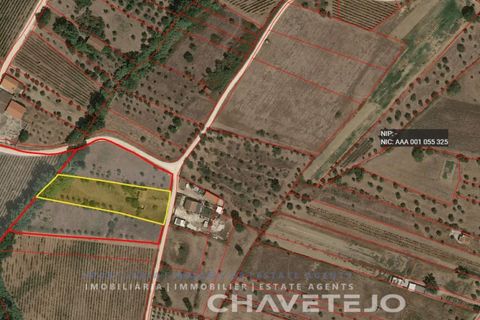 Landejendom i Tomar, Santarem, Tomar - € 60.000 | Ref: 801/26 - foto 34