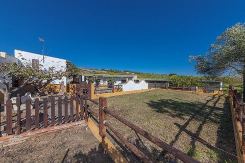 Villa a El Padron, Malaga, El Padron - € 720.000 | Ref: DPIe9171 - foto 11