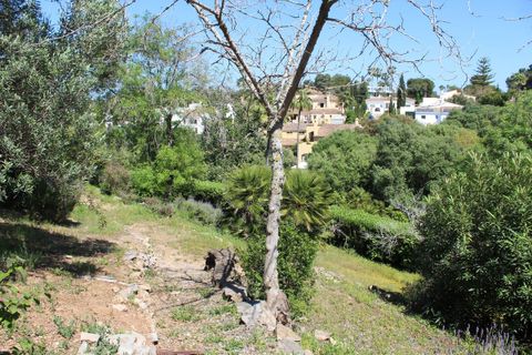 Villa i Sotogrande, Cadiz, Sotogrande - € 2.780.000 | Ref: DPIe23056 - foto 10