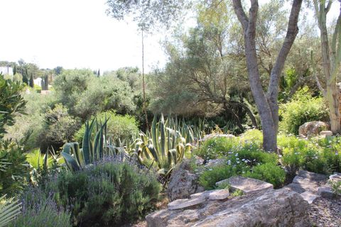 Villa i Sotogrande, Cadiz, Sotogrande - € 2.780.000 | Ref: DPIe23056 - foto 11