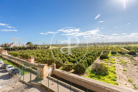 Villa i Moncada, Valencia, Moncada - € 530.000 | Ref: VV2601062 - foto 33