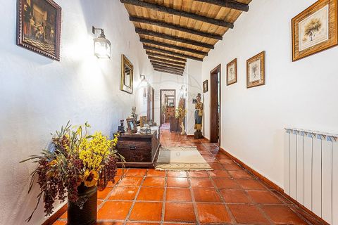 Farm hus i Avis, Portalegre, Avis - € 640.000 | Ref: 120611191-1868 - foto 11