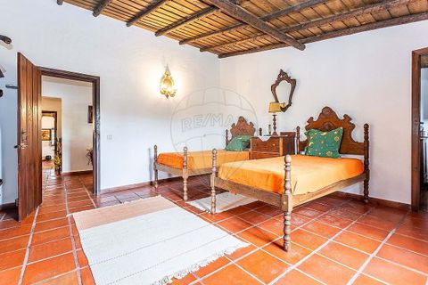 Farm hus i Avis, Portalegre, Avis - € 640.000 | Ref: 120611191-1868 - foto 14