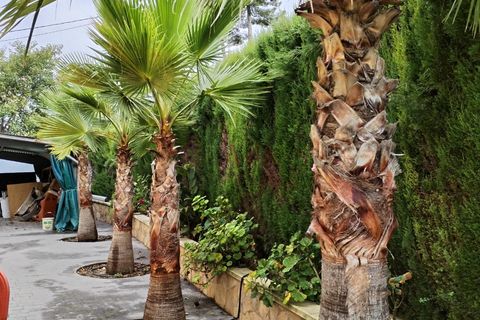 Villa a Benillup, Alicante, Benillup - € 300.000 | Ref: 20205/12462 - foto 8