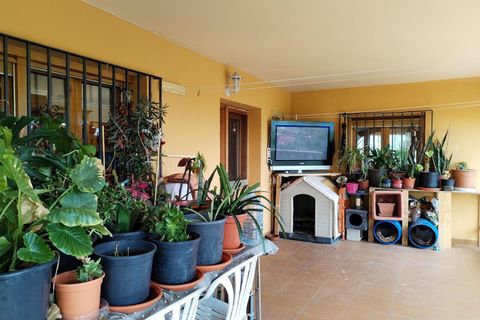 Villa a Benillup, Alicante, Benillup - € 300.000 | Ref: 20205/12462 - foto 16