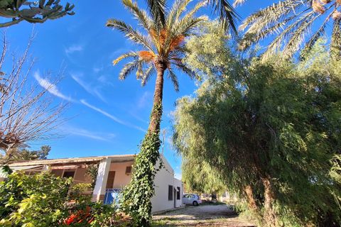 Villa i Elche, Alicante, Elche - € 414.000 | Ref: 1RE1093 - foto 17