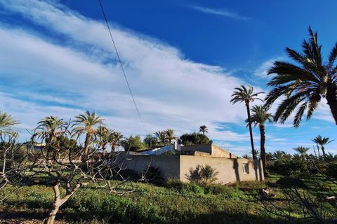 Villa i Elche, Alicante, Elche - € 414.000 | Ref: 1RE1093 - foto 19