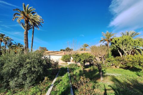 Villa i Elche, Alicante, Elche - € 414.000 | Ref: 1RE1093 - foto 20