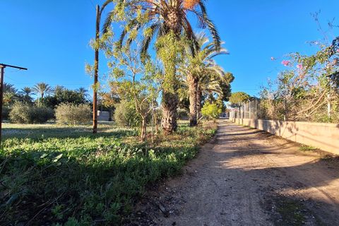 Villa i Elche, Alicante, Elche - € 414.000 | Ref: 1RE1093 - foto 26