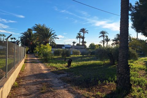 Villa i Elche, Alicante, Elche - € 414.000 | Ref: 1RE1093 - foto 27