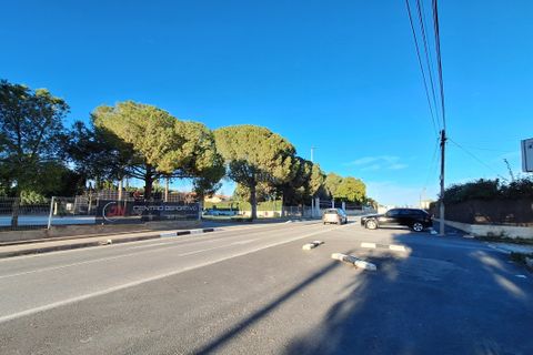 Villa i Elche, Alicante, Elche - € 414.000 | Ref: 1RE1093 - foto 29