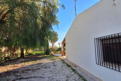 Villa i Elche, Alicante, Elche - € 414.000 | Ref: 1RE1093 - foto 32