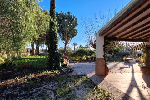 Villa i Elche, Alicante, Elche - € 414.000 | Ref: 1RE1093 - foto 33