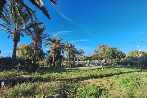 Villa i Elche, Alicante, Elche - € 414.000 | Ref: 1RE1093 - foto 37