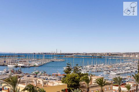 Leilighet i Torrevieja, Alicante, Torrevieja - € 260 000 | Ref: M-5484 - foto 40