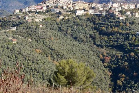 Helårsgrund i Perinaldo, Imperia, Perinaldo - € 275.000 | Ref: T220 - foto 3