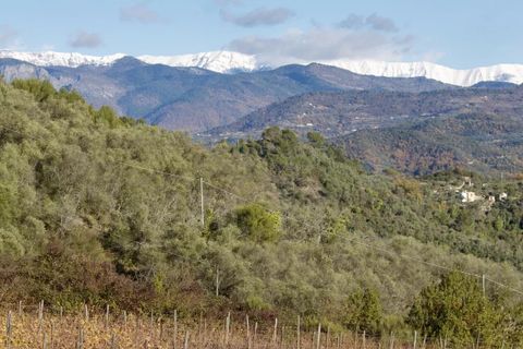 Helårsgrund i Perinaldo, Imperia, Perinaldo - € 275.000 | Ref: T220 - foto 4