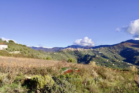 Helårsgrund i Perinaldo, Imperia, Perinaldo - € 275.000 | Ref: T220 - foto 6