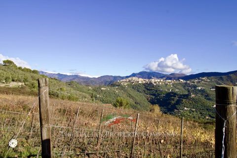 Helårsgrund i Perinaldo, Imperia, Perinaldo - € 275.000 | Ref: T220 - foto 7