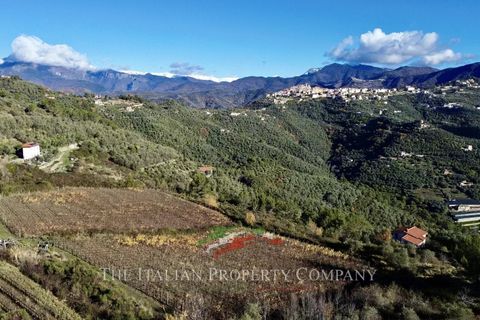 Helårsgrund i Perinaldo, Imperia, Perinaldo - € 275.000 | Ref: T220 - foto 8