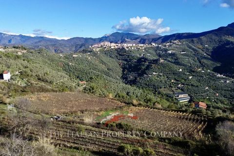 Helårsgrund i Perinaldo, Imperia, Perinaldo - € 275.000 | Ref: T220 - foto 9