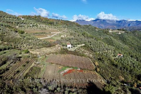 Helårsgrund i Perinaldo, Imperia, Perinaldo - € 275.000 | Ref: T220 - foto 12