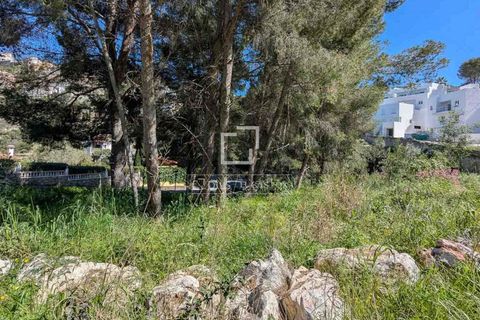 Villa i Pedreguer, Alicante, Pedreguer - € 755.000 | Ref: JAV66145 - foto 10