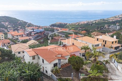 Villa i Camara de Lobos, Madeira, Camara de Lobos - € 650.000 | Ref: 11949-TF - foto 24