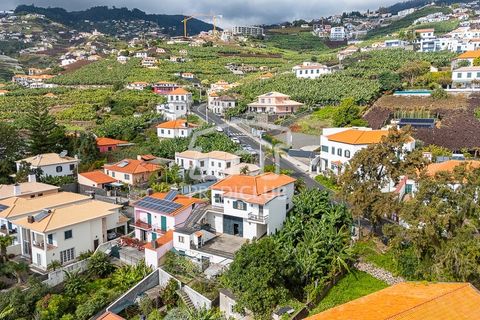 Villa i Camara de Lobos, Madeira, Camara de Lobos - € 650.000 | Ref: 11949-TF - foto 29