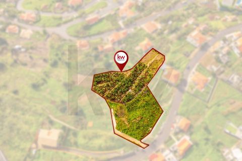 Helårsgrund i Calheta, Madeira, Calheta - € 1.200.000 | Ref: KWPT-026845 - foto 1