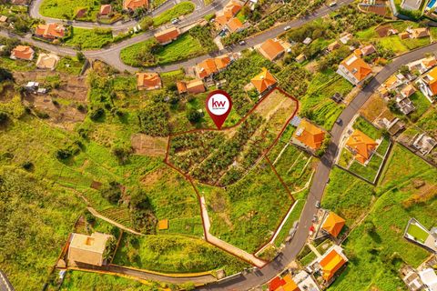 Helårsgrund i Calheta, Madeira, Calheta - € 1.200.000 | Ref: KWPT-026845 - foto 3