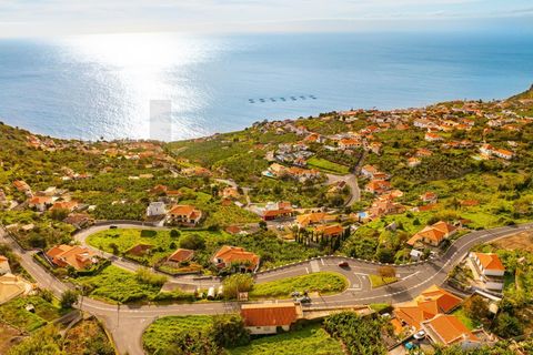 Helårsgrund i Calheta, Madeira, Calheta - € 1.200.000 | Ref: KWPT-026845 - foto 15