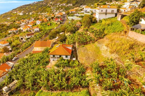 Helårsgrund i Calheta, Madeira, Calheta - € 1.200.000 | Ref: KWPT-026845 - foto 17