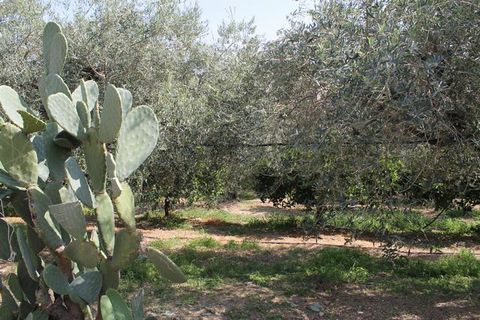 Villa a Calamonaci, Agrigento, Calamonaci - € 390.000 | Ref: Villa Cocchiara - foto 7