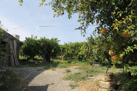 Villa a Calamonaci, Agrigento, Calamonaci - € 390.000 | Ref: Villa Cocchiara - foto 8