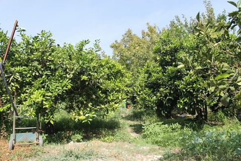 Villa a Calamonaci, Agrigento, Calamonaci - € 390.000 | Ref: Villa Cocchiara - foto 9