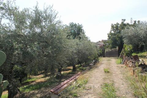 Villa a Calamonaci, Agrigento, Calamonaci - € 390.000 | Ref: Villa Cocchiara - foto 22