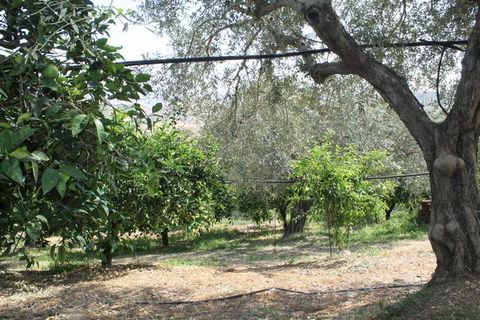 Villa a Calamonaci, Agrigento, Calamonaci - € 390.000 | Ref: Villa Cocchiara - foto 24